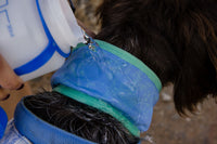 Ruffwear Swamp Cooler Neck Gaiter - Final Sale*
